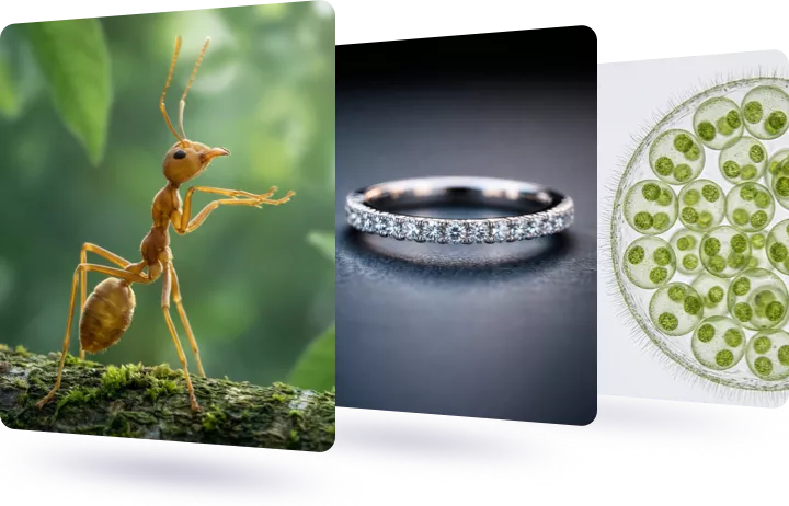 Perfect for a Range of Projects and Purposes