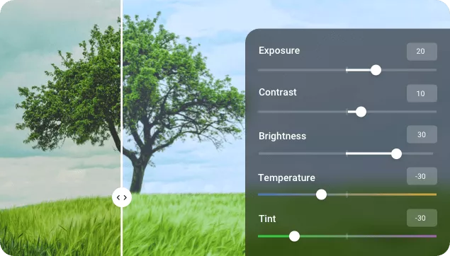 Ajustez et personnalisez la luminosité de l'image pour qu'elle soit parfaitement correcte