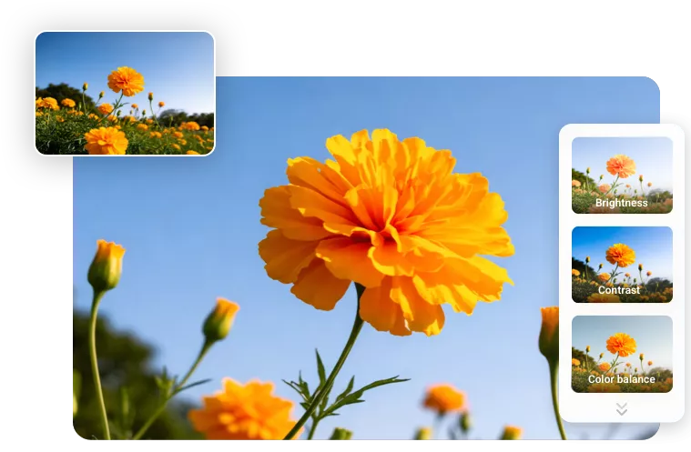 Far Beyond an Image Zoomer