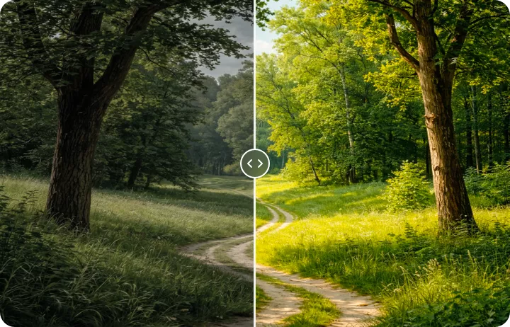 Relight Photos for the Perfect Look