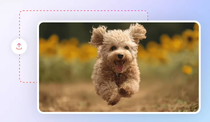 How to Turn Your Pet into Human with AI?