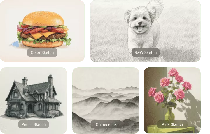 Explore More Sketch Models