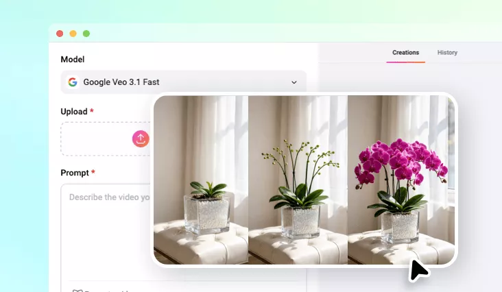 How to Generate Plant Timelapse Video