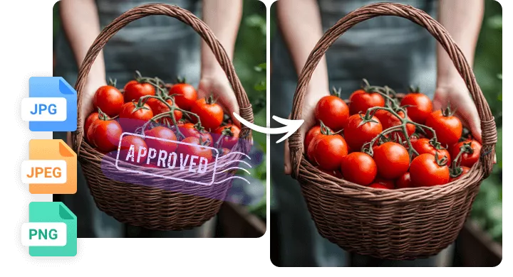 Support PNG, JPG and More for Stamp Removal