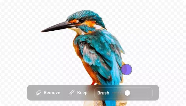 Accurate AI Transparent Image Maker