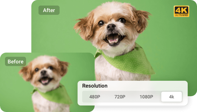 No Quality-Loss Video Output Up to 4K Resolution