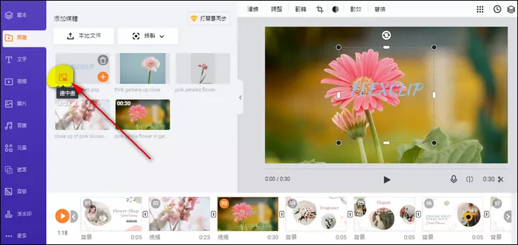 Add Logo to Video - PIP