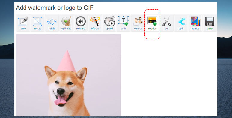 Add an overlay to a GIF by EZGIF