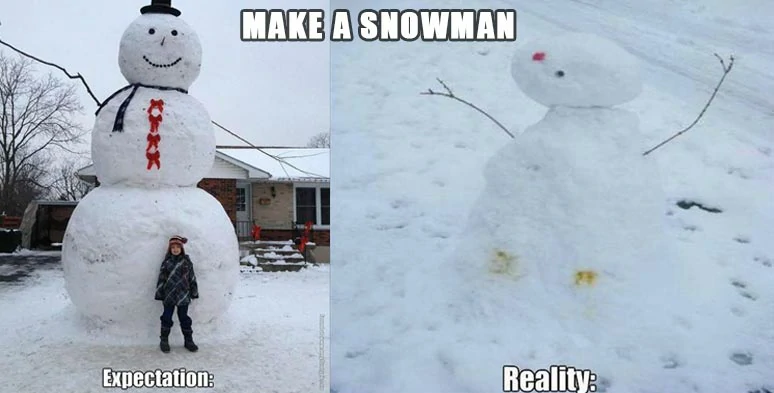 Make a snowman expectation vs reality meme  