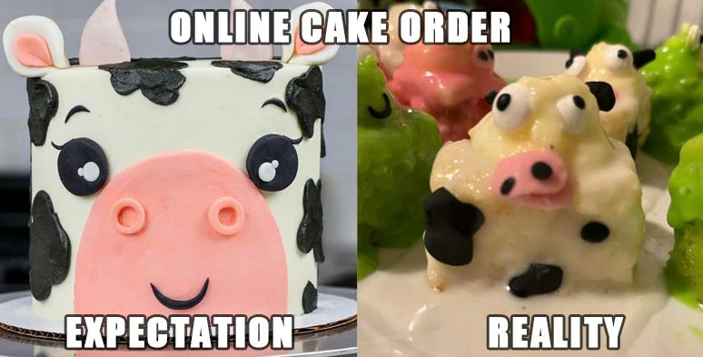 Online order expectation vs reality meme