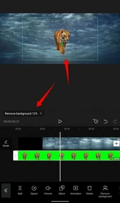 Make Edits and Save Video