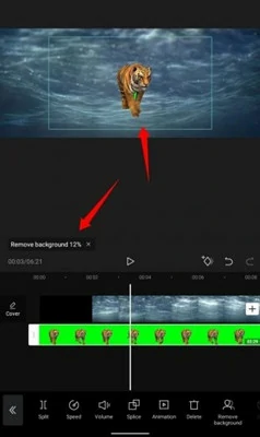 How to remove/change video background【Chroma Key/ Green Screen】 