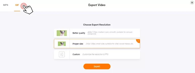 Exporting videos in the gif is the icing on the cake for social sharing.