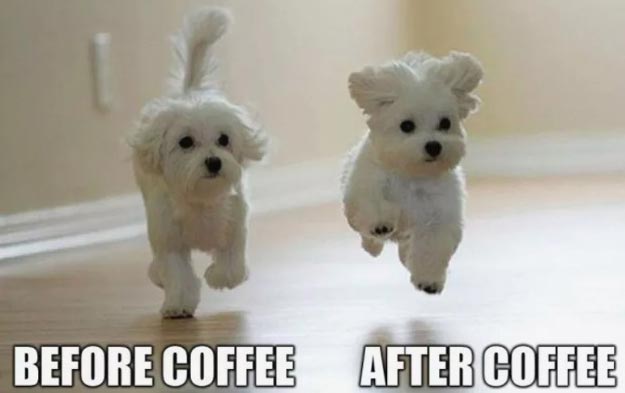 Before and after coffee meme