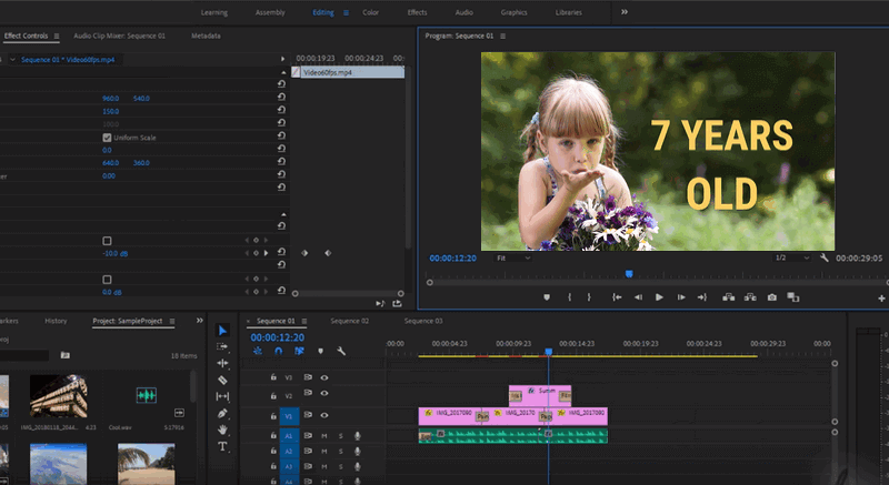 Adobe Premiere Pro - Ultra 4k video cutter & video enhancer.