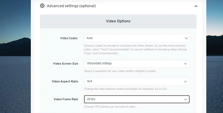 Set details for the converted MP4 video