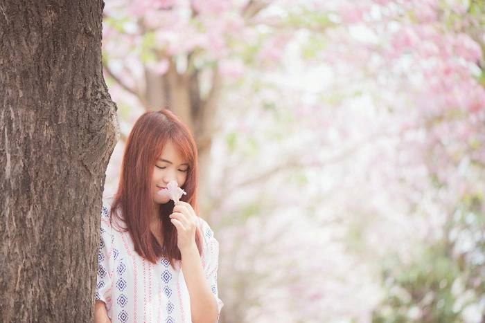 人物と桜を撮影する方法
