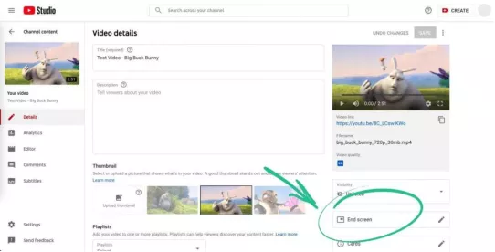 Add Links Using End Screen option