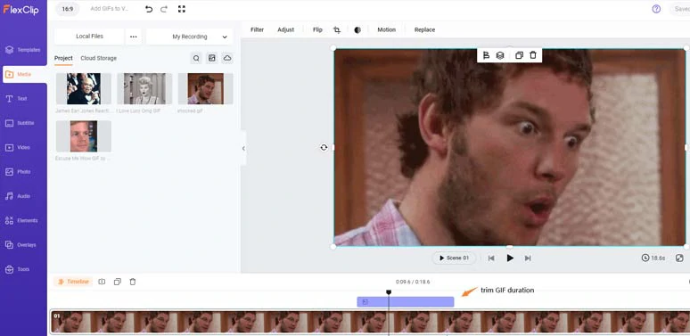 Add a GIF to the video and select a GIF frame to create hilarious effects for a specific video moment
