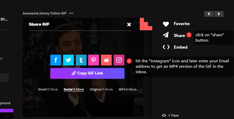 Download an MP4 version of the GIF from GIPHY