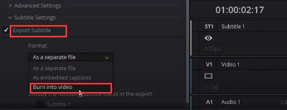 Burn subtitles into MKV in Davinci Resolve