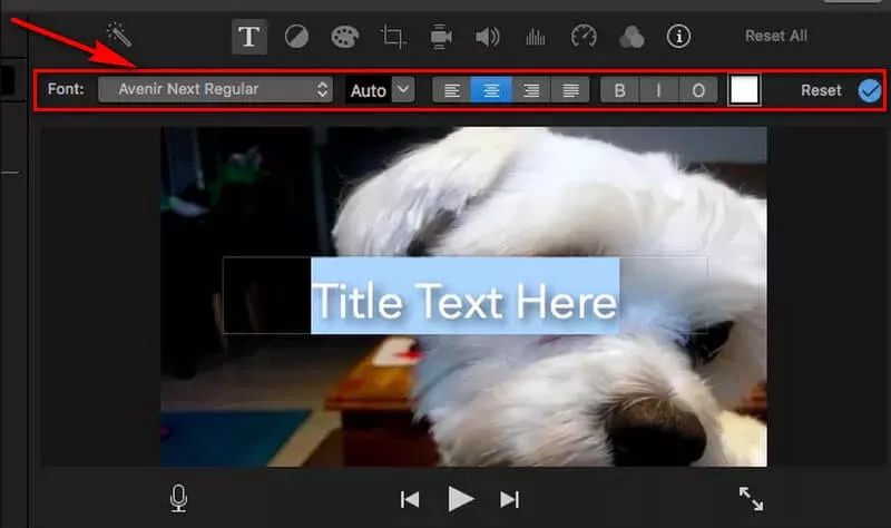 Customize Your Text