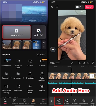 Add Voiceover to Video on Mobile