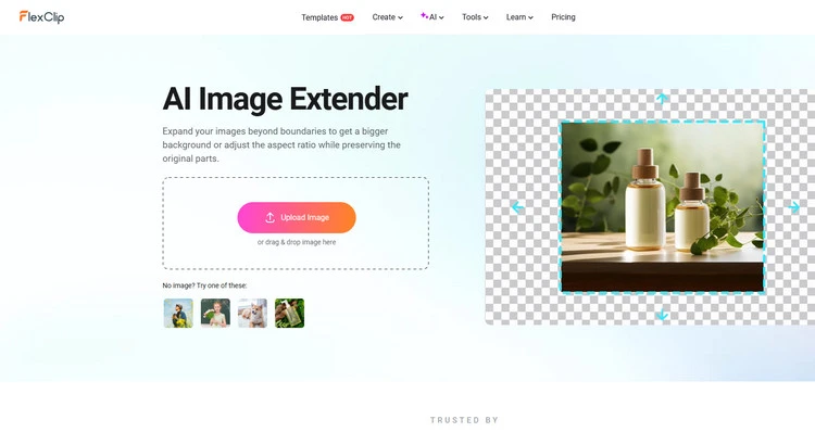 AI Photo Colorizer - FlexClip