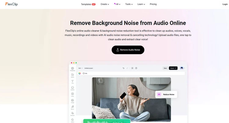 Background Noise Reduction Tool - FlexClip