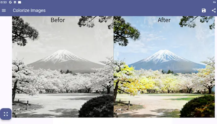 Colorize Imagesの白黒写真カラー化対比図
