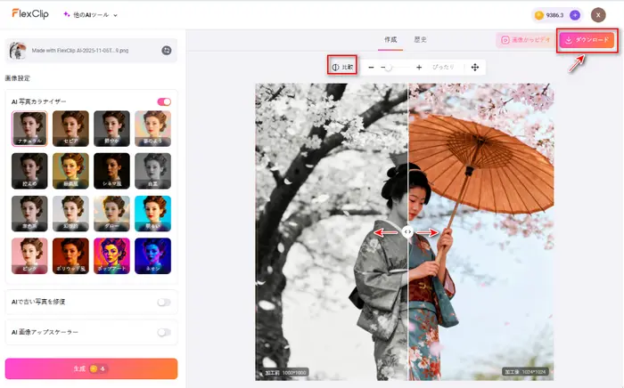 カラー化写真をプレビュー・ダウンロード