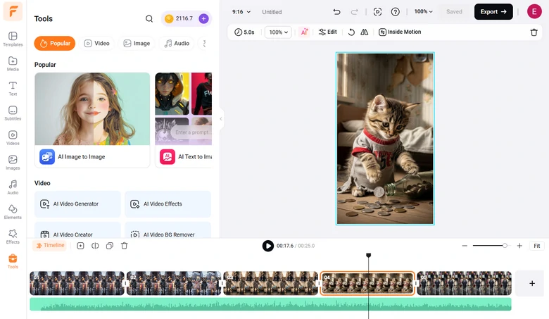 Edit the Poor Cat Video