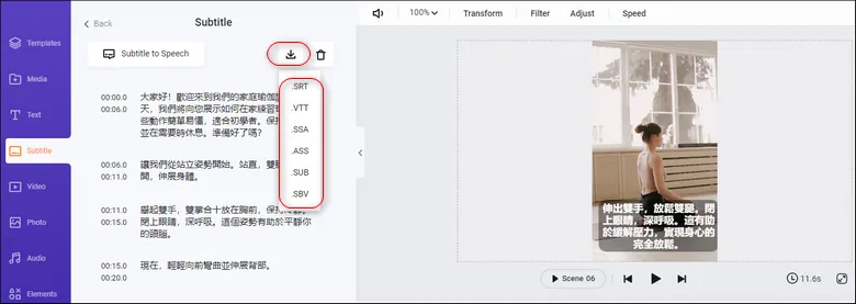 Download the subtitle in SRT or other subtitle formats for repurposings