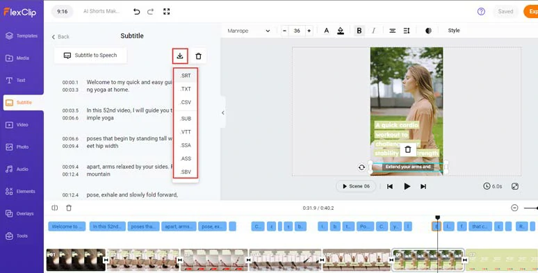 Download the subtitle in SRT, TXT, and other formats for repurposings