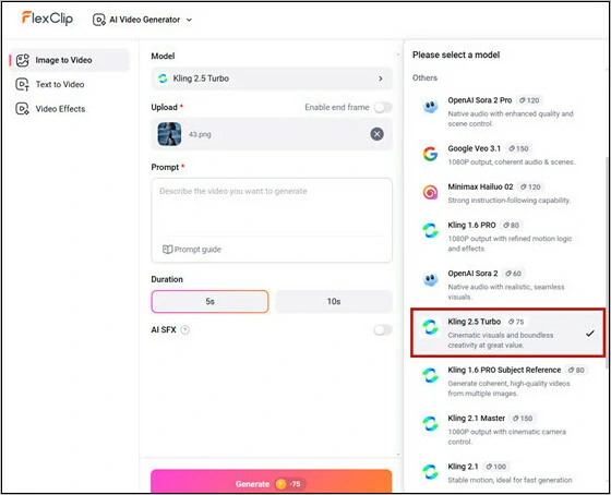 Choose Your Snow Video Generation Model