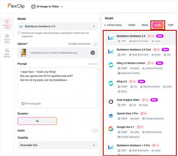 Enter Prompt and Choose Model that Supports Audio Generation