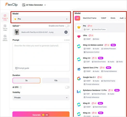 Select Your Video Generation Model