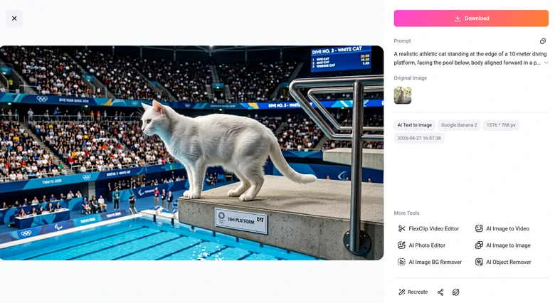 FlexClip Cat Diving Image Output