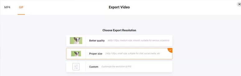 Options to download a GIF