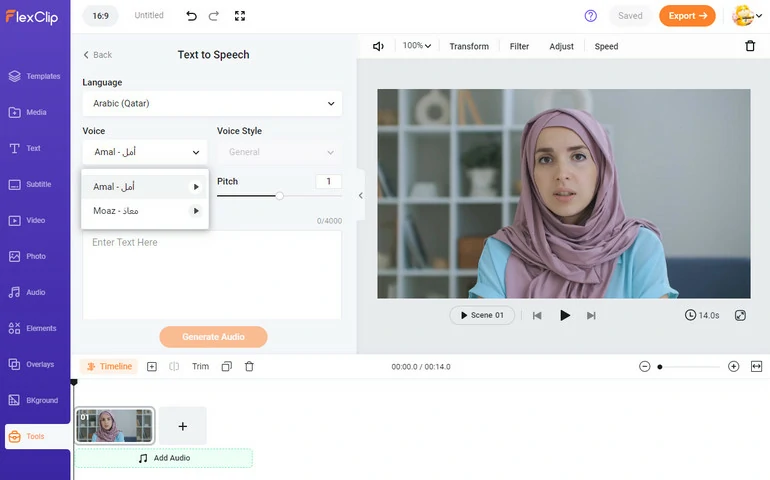 Free Arabic Text-to-Speech Converter - FlexClip Overview