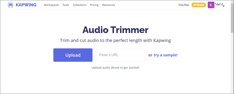 Kapwing trim the audio file