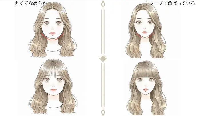 下顎ラインの形とおすすめ前髪タイプ