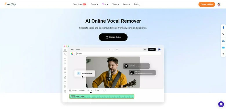 Comprehensive Online Vocal Remover - FlexClip