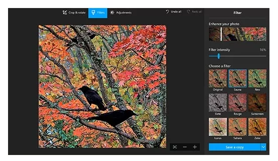 Birthday Video Maker - Windows Photo