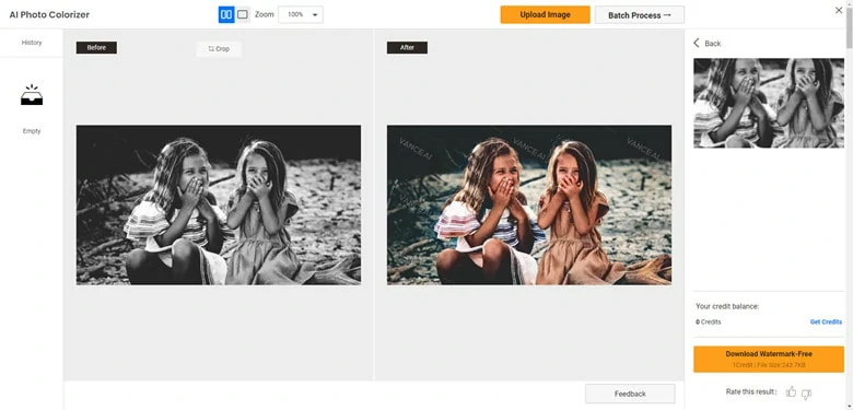 Colorize Your Black and White Image Online -Vance AI