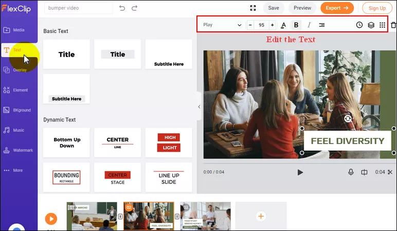 Add Text to the Bumper Video