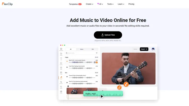 Music Library - FlexClip