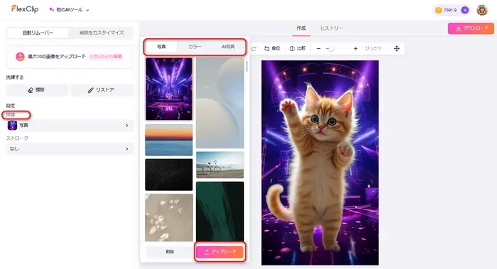 猫の画像の背景を変更