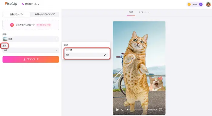 動画をダウンロード