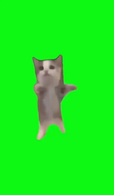 動ハピハピ猫(Happy Cat)